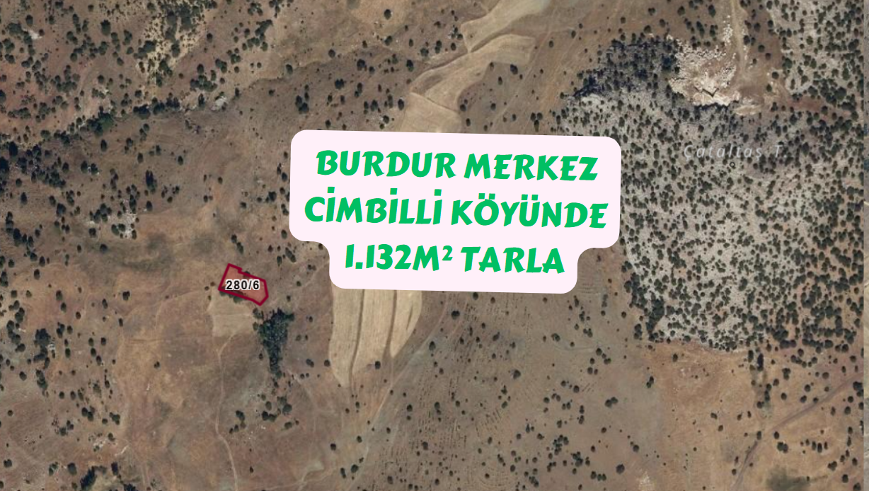 Fotoğraf
